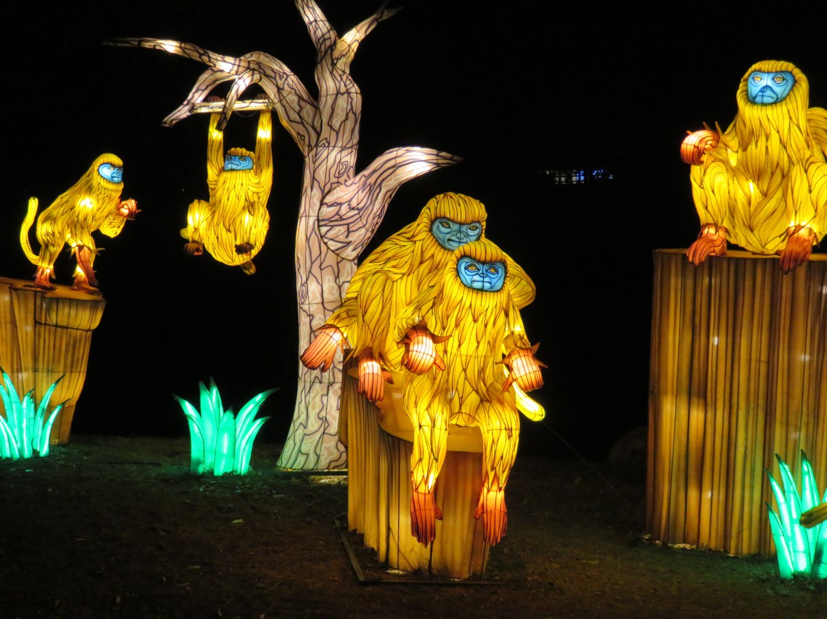 Wild Lights at the Sedgwick County Zoo Bent by the wind